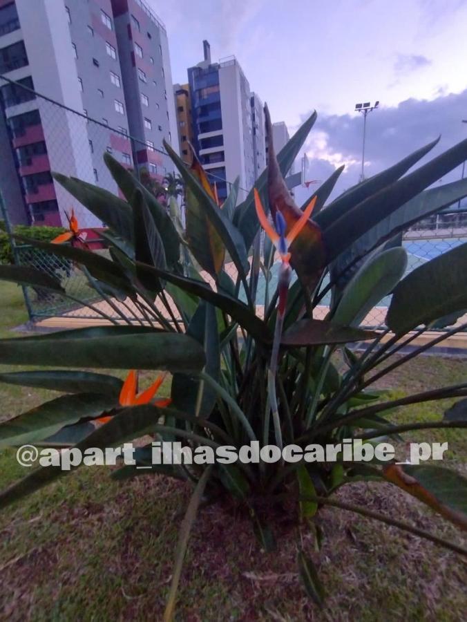 Apto Cond Ilhas Do Caribe - Pr - Beira Mar Matinhos Kültér fotó