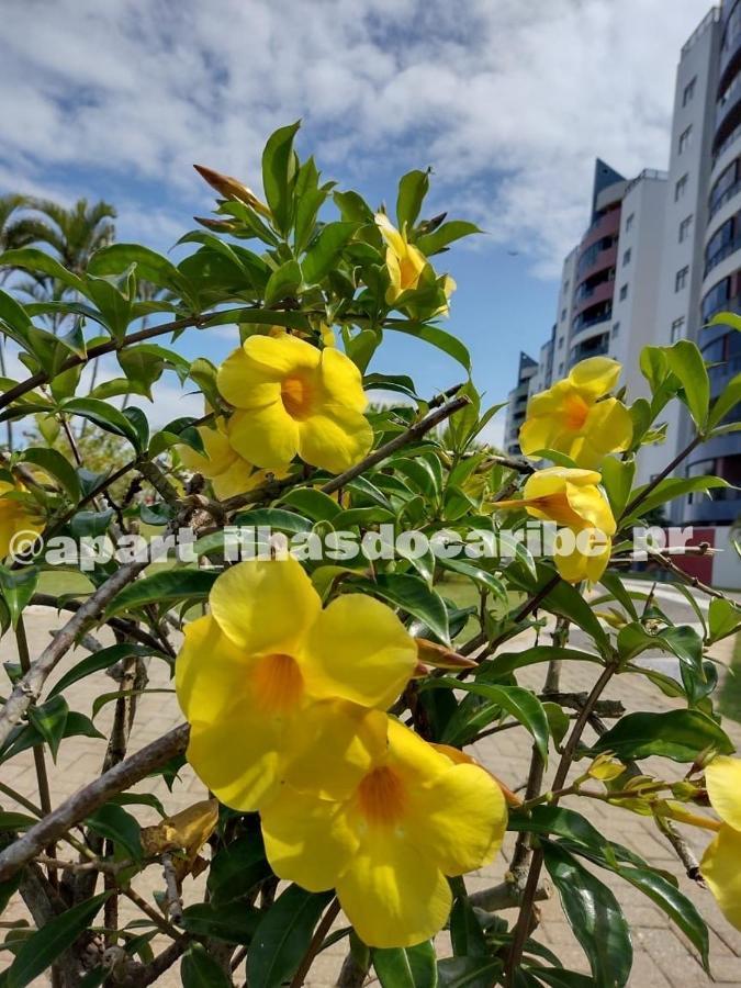 Apto Cond Ilhas Do Caribe - Pr - Beira Mar Matinhos Kültér fotó